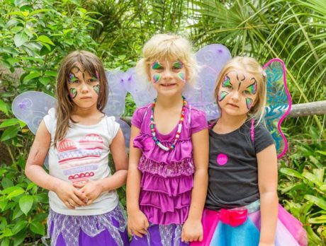 Magic in bloom at McKee’s Fairy and Pirate fest