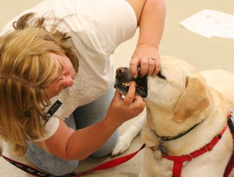 Kids learn first aid and CPR for Pets