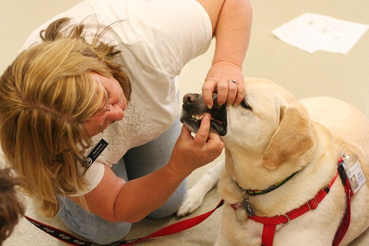 Kids learn first aid and CPR for Pets