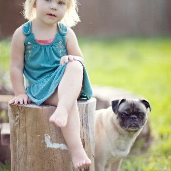 BONZ: Chubbs the pug keeps busy with his two little human sisters