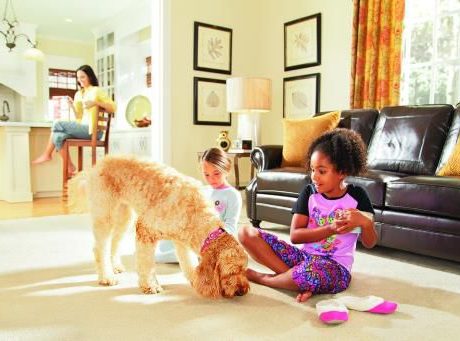 Family-Friendly Tips to Transform Your Home this Season