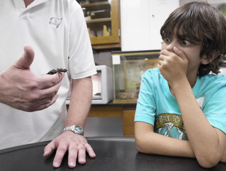 Hands-on activities make science fun at St. Ed’s