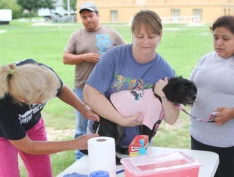 Fighting a Canine Parvovirus outbreak