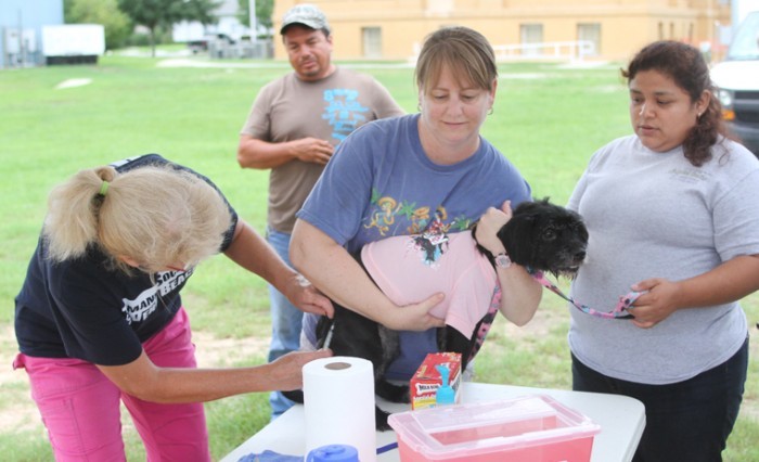 Fighting a Canine Parvovirus outbreak