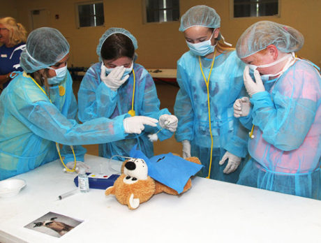 Mock spay surgery at Humane Society