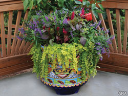 Practical meets pretty: Container gardening for beauty and bounty