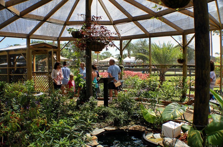 Butterfly house at LaPorte Farms