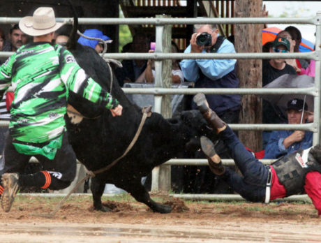 Bull Frog Bash Rodeo 2013