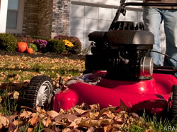 Early fall grass rejuvenation from summer wear and tear