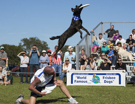 Bark in the Park supports Indian River Humane Society