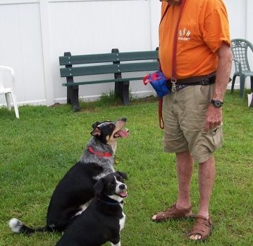 PET PARADE: Training, learning commands, and social skills