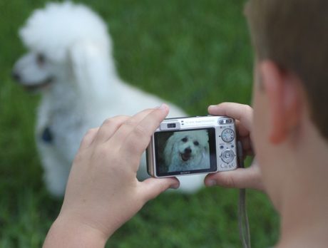 Pet photographers learn techniques at Humane Society