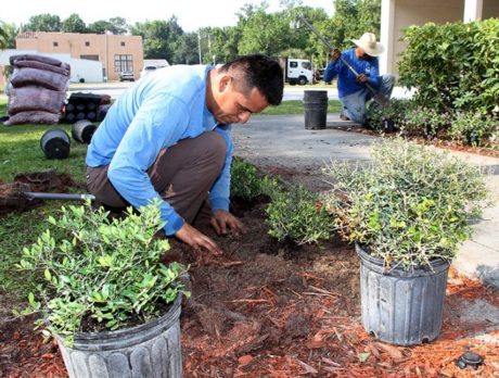 Fellsmere Community Center in bloom