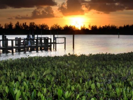 Indian River Land Trust preserving another 130 acres of lagoon shoreline