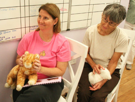 Cat massage workshop teaches more than random petting