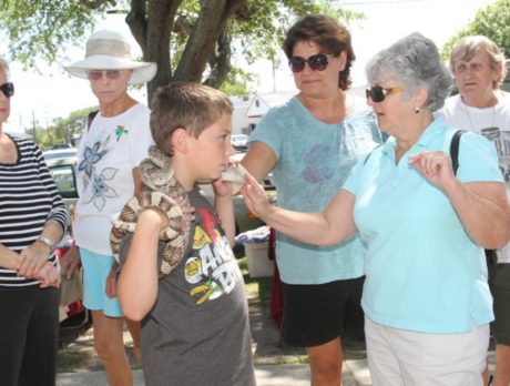 Nature enthusiasts drawn to Sebastian’s Pelican Island Wildlife fest