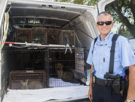 Fellsmere’s COPP volunteers ‘apprehend’ stray dogs and cats