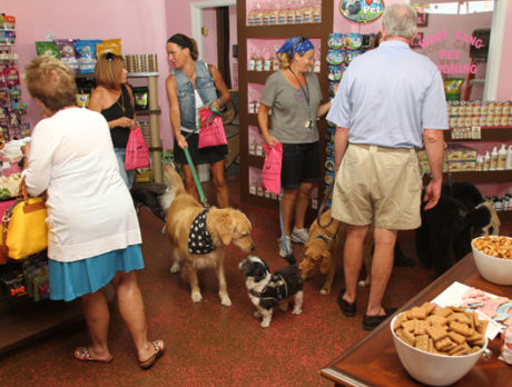 Woof Gang Bakery helps Dogs For Life with Yappy Hour