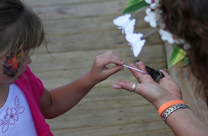 Butterfly house at LaPorte Farms
