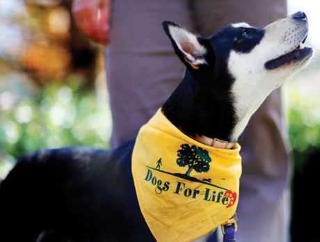 Dogs for Life honors volunteers and friends with Appreciation Awards