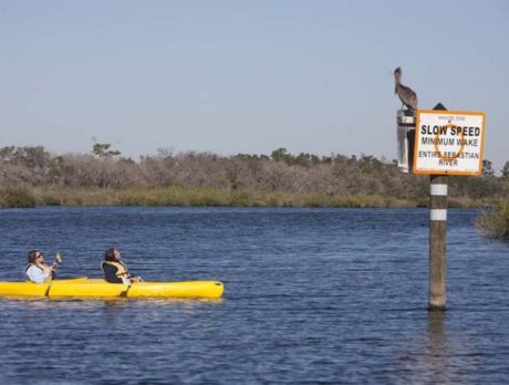 Ecotourism and kayaking the St. Sebastian River