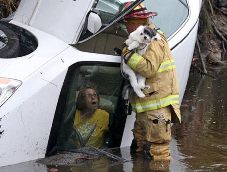 Woman, dog pulled from ditch in south county