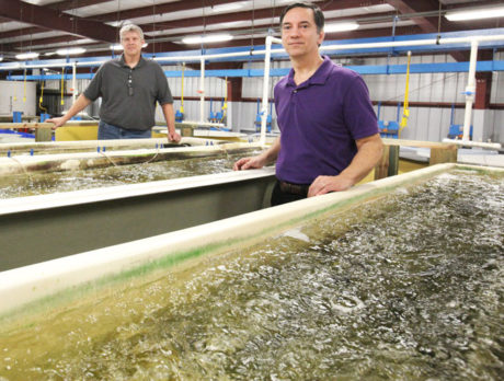 Harbor Branch aquaculture program a leader