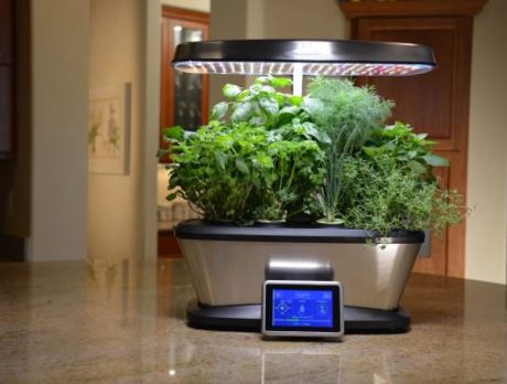 Fun and Practical Holiday Gifts for Gardeners of All Levels