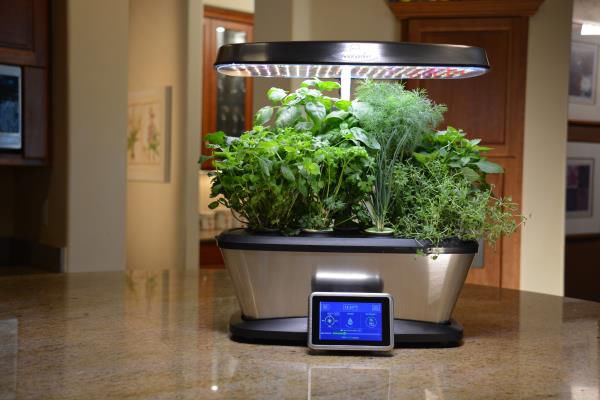 Fun and Practical Holiday Gifts for Gardeners of All Levels