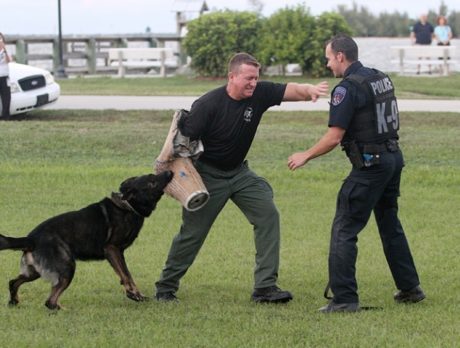 National Night Out