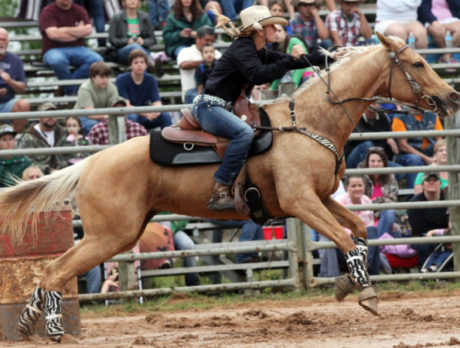 Bull Frog Bash Rodeo 2013