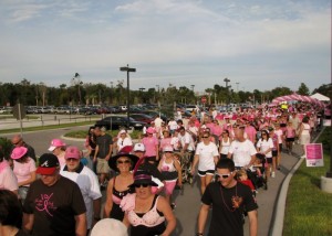 Brassiere bedazzled walkers turn out for breast cancer event