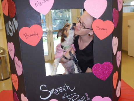 Smooch a pooch this Valentine’s Day at the Humane Society