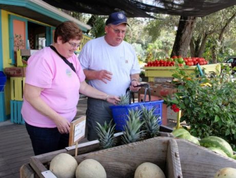 Picking out fresh produce