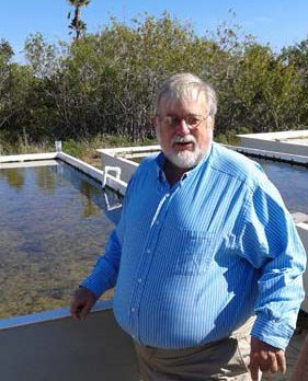 Harbor Branch creates seagrass nursery to help save lagoon