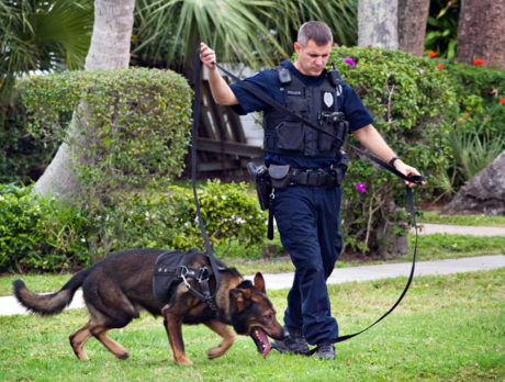 Robbery at Island Chase Bank Branch