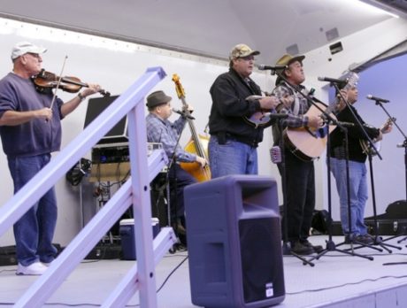 Friday night Concert in the Park