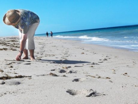 Artist turns beach scraps into art