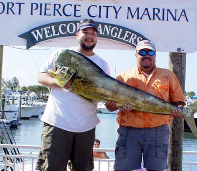40.7-Pound dolphin wins $5,000 at Blue Water Open “Dolphin Mania”