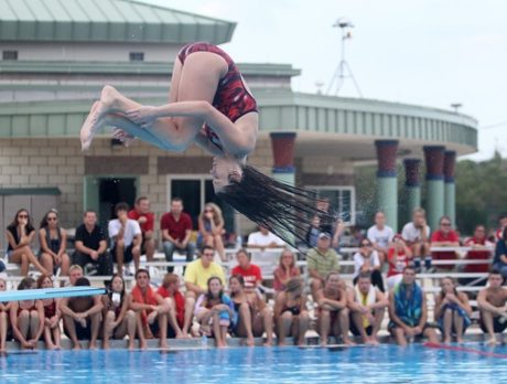 Vero Beach vs. Sebastian River High Swim/Dive meet