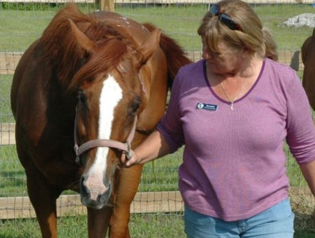 ASPCA awards equine grant to Humane Society