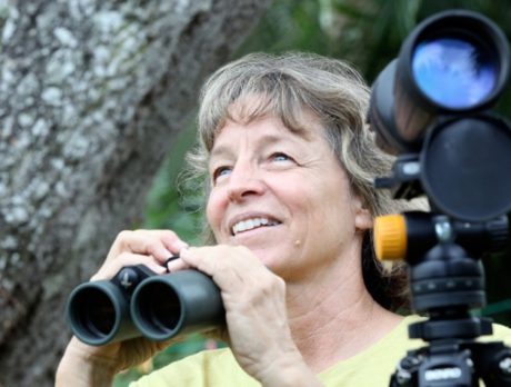 With a month to go, will first annual Treasure Coast Birding Festival fly?