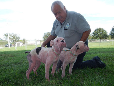 Animal Control Officer Dangerfield ready to retire