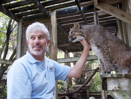 Busch wildlife sanctuary continues mission to rescue Florida’s critters