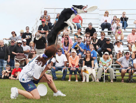 Bark in the Park