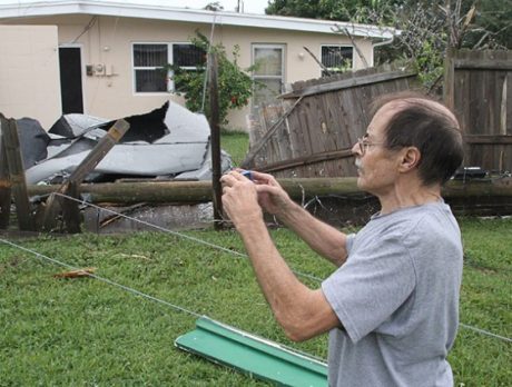 Tornado damage in south county