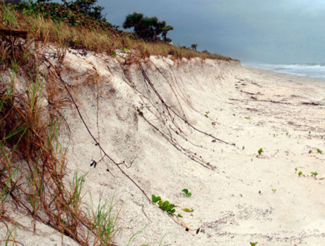 70 percent of county beaches critically eroded