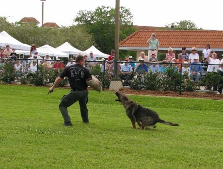 Yappy Hour fundraiser benefits Sheriff’s Office K-9 patrol dogs