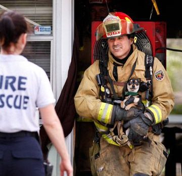 Small dog rescued from house fire on 30th Ave., Vero Beach