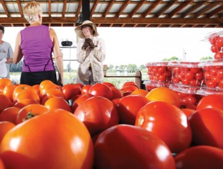 Veggies of Vero closes, ends farm-to-table deliveries